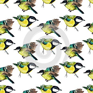 Seamless pattern with tomtits