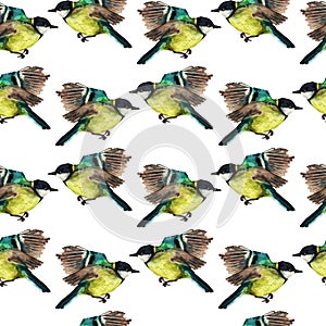 Seamless pattern with tomtits