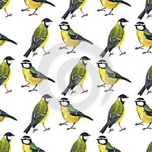 Seamless pattern with tomtits