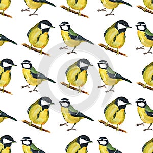 Seamless pattern with tomtits