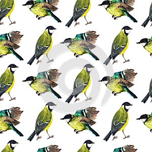Seamless pattern with tomtits