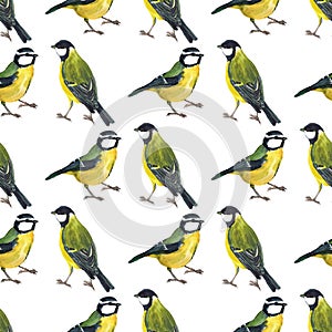 Seamless pattern with tomtits