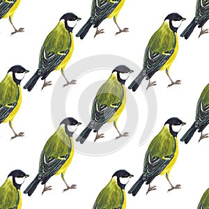 Seamless pattern with tomtits