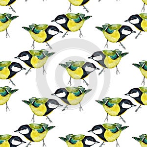 Seamless pattern with tomtits