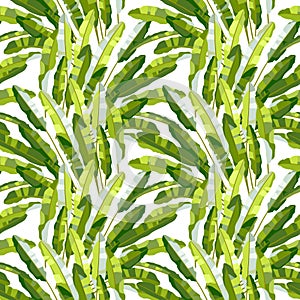 Seamless pattern with tropic plants