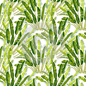 Seamless pattern with tropic plants