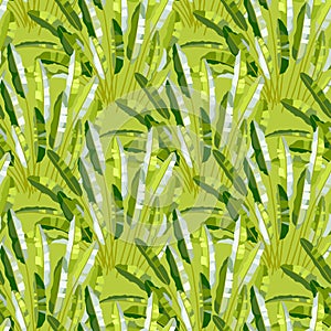 Seamless pattern with tropic plants