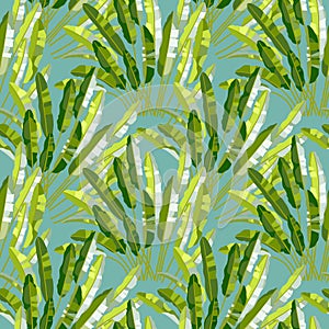 Seamless pattern with tropic plants