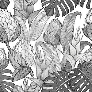 Seamless pattern with Tropical flowers and leaves. Hand drawn jungle leaves and exotic flowers. Black and white
