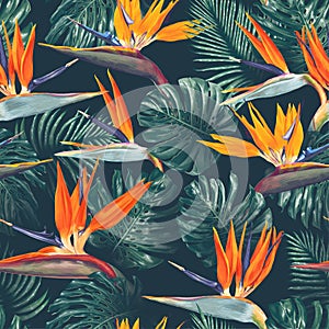 Seamless pattern with tropical flowers and leaves. Strelitzia flowers, Monstera and Palm leaves. photo