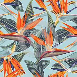 Seamless pattern with tropical flowers and leaves of Strelitzia Reginae. photo