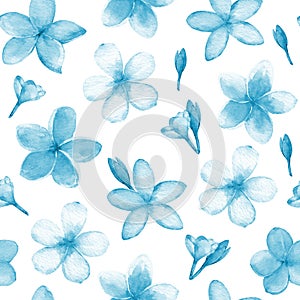 Seamless pattern with tropical flowers plumeriafrangipani.