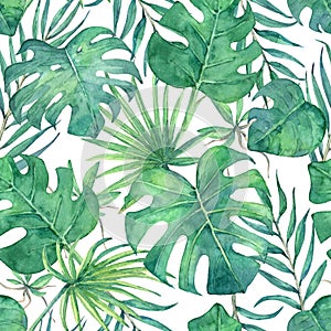 Seamless pattern with tropical leaves.