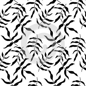 Seamless pattern with tropical leaves. Black leaves on white backdrop