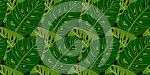 Seamless pattern with tropical leaves. Jungle floral pattern. Jungle. Colorful leaves.