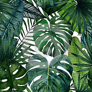 Seamless pattern with tropical leaves; monstera, palm, banana, saw palmetto, calathea. Watercolor illustration