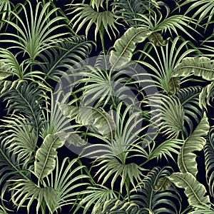 Seamless pattern with tropical leaves such as palm, banana leaf, etc.