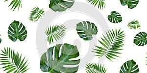 Seamless pattern tropical leaves on White background