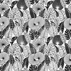 Seamless pattern with tropical leaves on a white background.