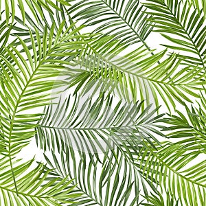 Seamless Pattern. Tropical Palm Leaves Background