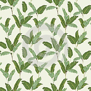 Seamless Pattern. Tropical Palm Leaves Background. Banana Leaves