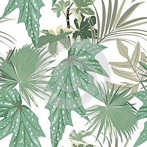 Seamless pattern, tropical palm leaves, greenery. Decorative white background in rustic boho style for fabric.