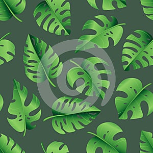 Seamless pattern of tropical palm leaves, jungle Monstera leaves. Exotic collection of green plant. Hand drawn botanical vector
