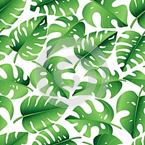 Seamless pattern of tropical palm leaves, jungle Monstera leaves. Exotic collection of green plant. Hand drawn botanical vector