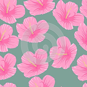 Seamless pattern of tropical pink hibiscus flowers