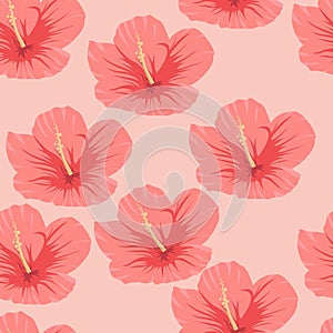 Seamless pattern of tropical pink hibiscus flowers