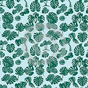 Seamless pattern tropical plant monstera