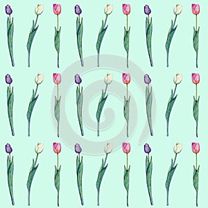 Seamless pattern tulip flowers retro illustration