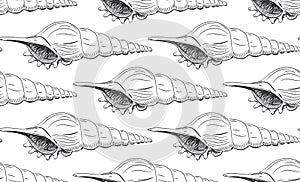 seamless pattern Turrid Vetigastropoda is a major taxonomic group of sea snails Unique shells, molluscs. Sketch black contour on