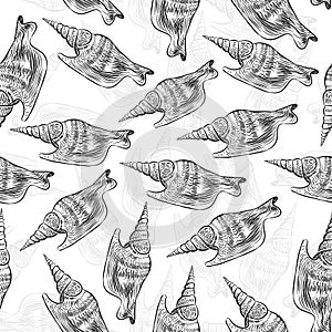 Seamless pattern Turrid Vetigastropoda is a major taxonomic group of sea snails Unique shells, molluscs. Sketch black contour on