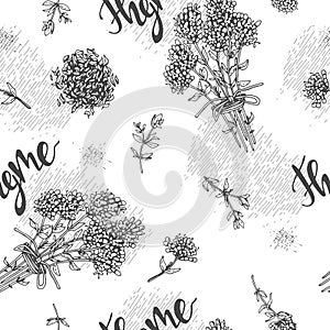 Seamless Pattern with twig of thyme with leaves and flowers