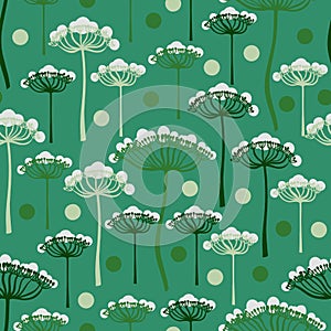Seamless pattern with umbelliferous plants, angelica. Summer background. photo