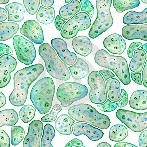 Seamless pattern of unicellular green blue algae chlorella spirulina with large cells single-cells with lipid weed