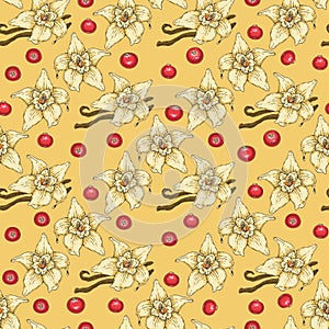 Seamless Pattern. Vanilla Flower and Cranberry