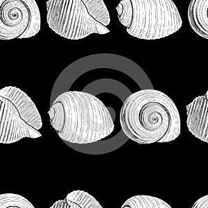 Seamless pattern of various drawn seashells