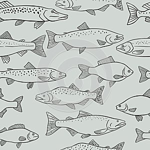 Seamless pattern various fish. Line drawing