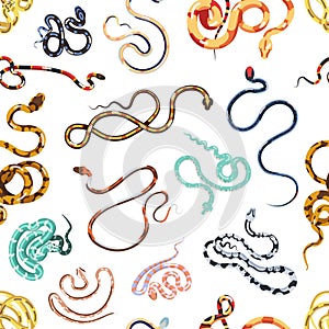 Seamless pattern with various snakes or serpents on white background. Backdrop with exotic wild reptile animals. Colored