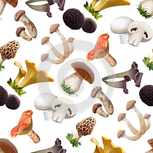 Seamless pattern of various species edible mushrooms