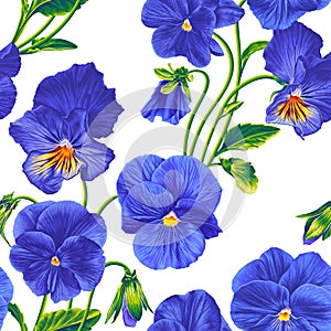 Seamless pattern with vector blue Pansies.