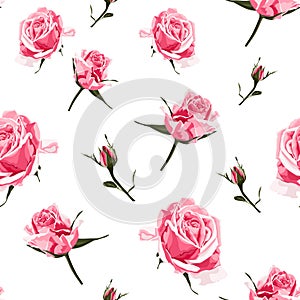 Seamless pattern vector floral watercolor style design, pink roses bud. Rustic romantic background print.