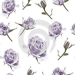 Seamless pattern vector floral watercolor style design, violet roses and bud. Rustic romantic background print.