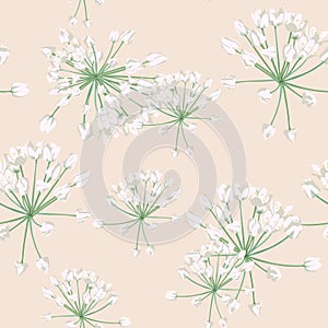 Seamless pattern Vector floral watercolor style design: white wild herbs. Rustic romantic background print