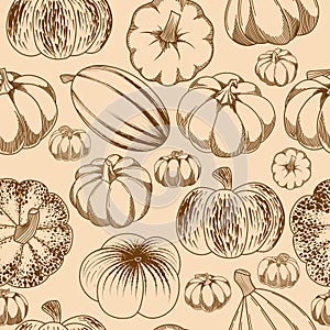 Seamless pattern of vector hand drawn pumpkins