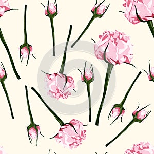 Seamless pattern of vector watercolor style pink bud of roses. Illustration of flowers.