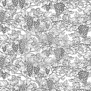 Seamless pattern with vine.