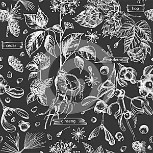 Seamless pattern with vintage hand drawn sketch medicine herbs elements isolated on black chalk board background. Cedar